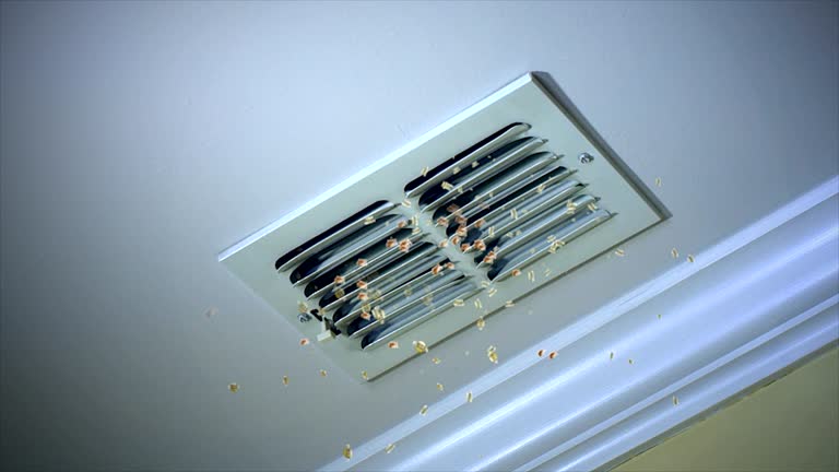 Best Residential Air Duct Cleaning  in St Marys, GA