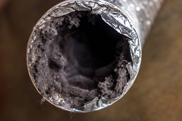 Best Air Duct Inspection  in St Marys, GA